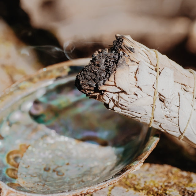 Waar werd White Sage vroeger voor gebruikt?