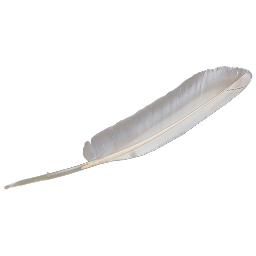 Smudge Zwanenveer