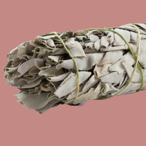 White sage smudge - Clean the house with a smudge