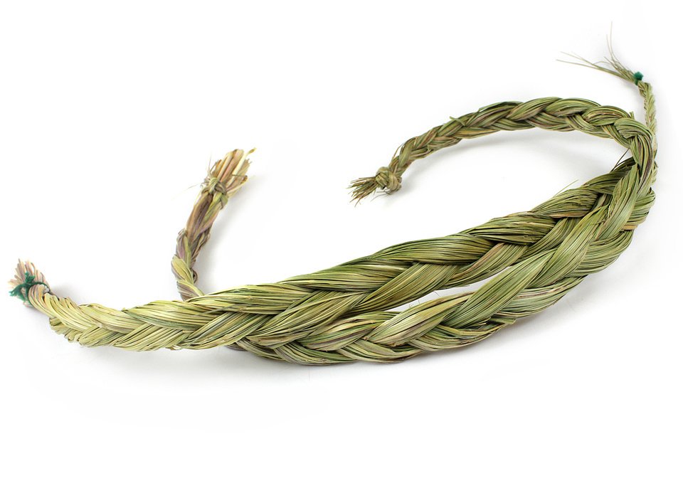 Sweetgrass 10 cm.