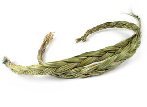 Sweetgrass 10 cm.